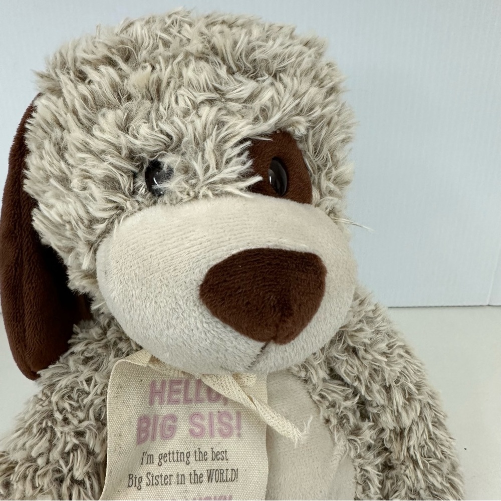 Demdaco Teddy Bear Plush Lift The Spirit Stuffed Animal Toy Hello Big Si… - Picture 8 of 15